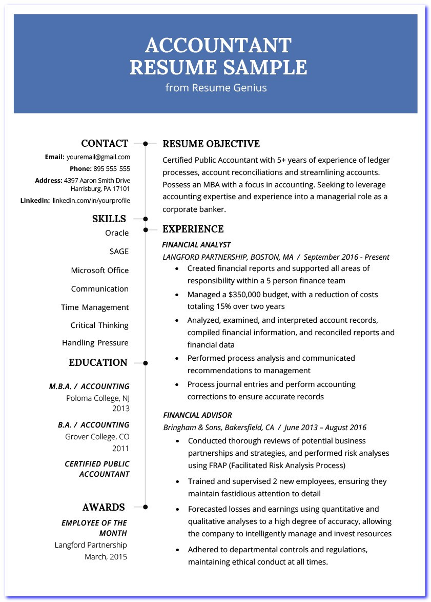 accounting cv example