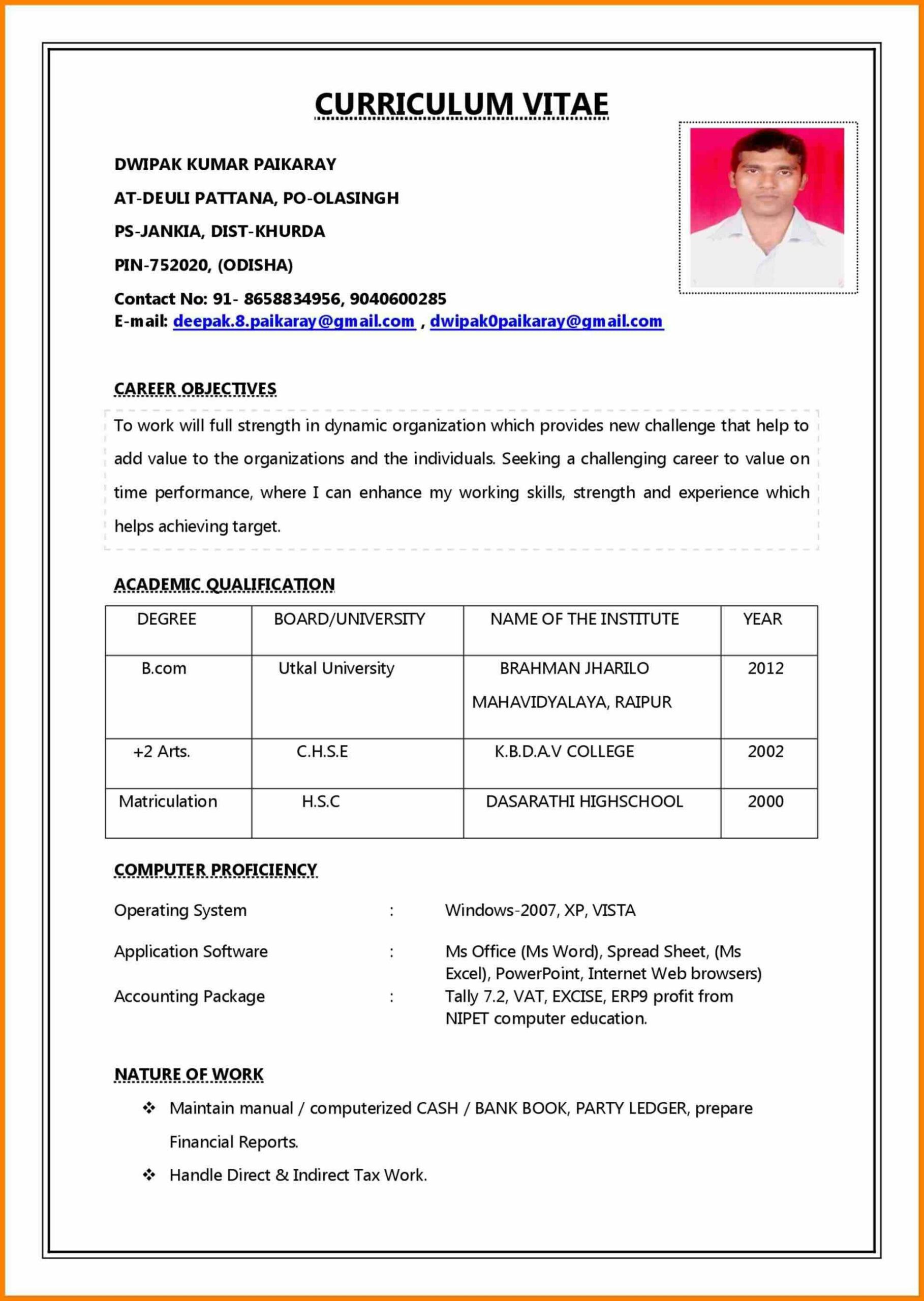 biodata sample for job application pdf