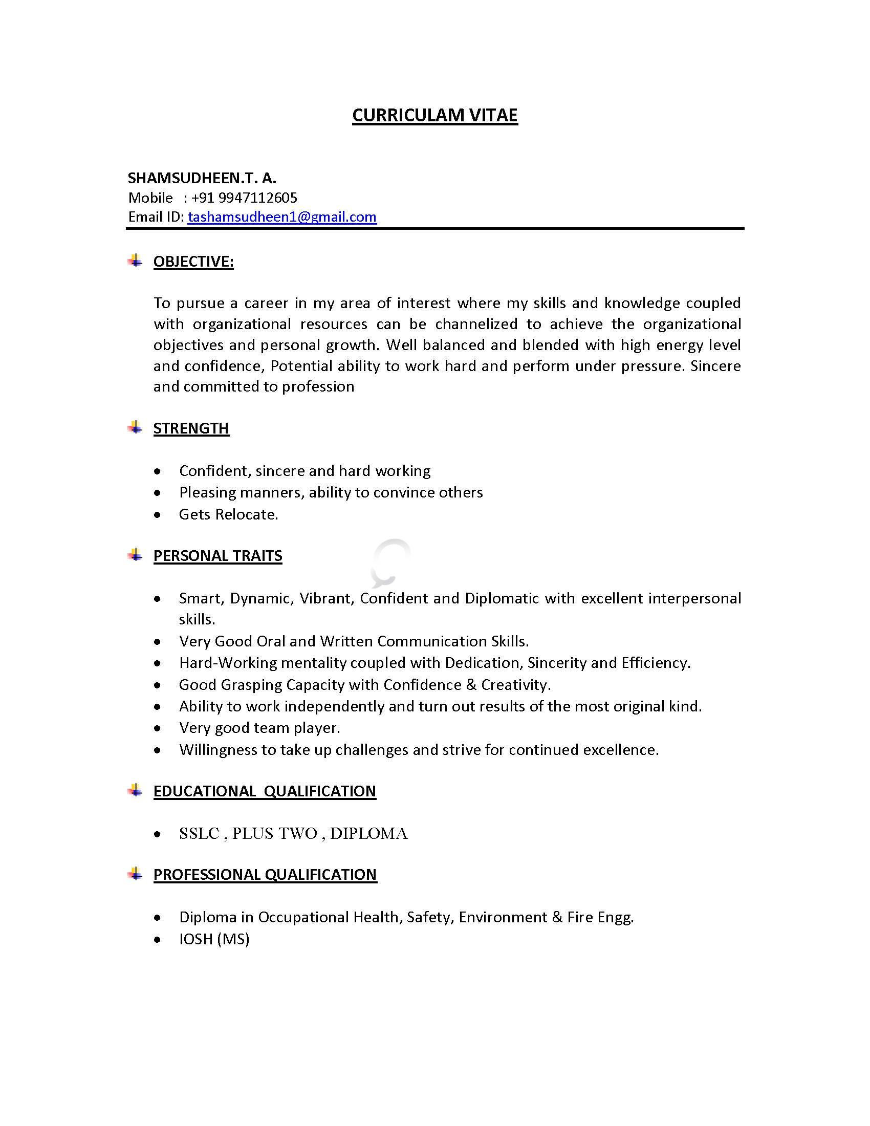 safety officer cv