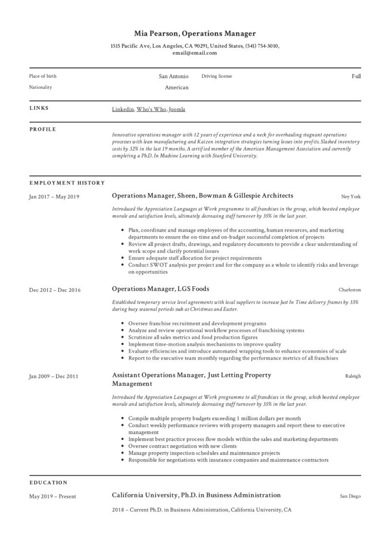 it operations manager resume sample pdfml