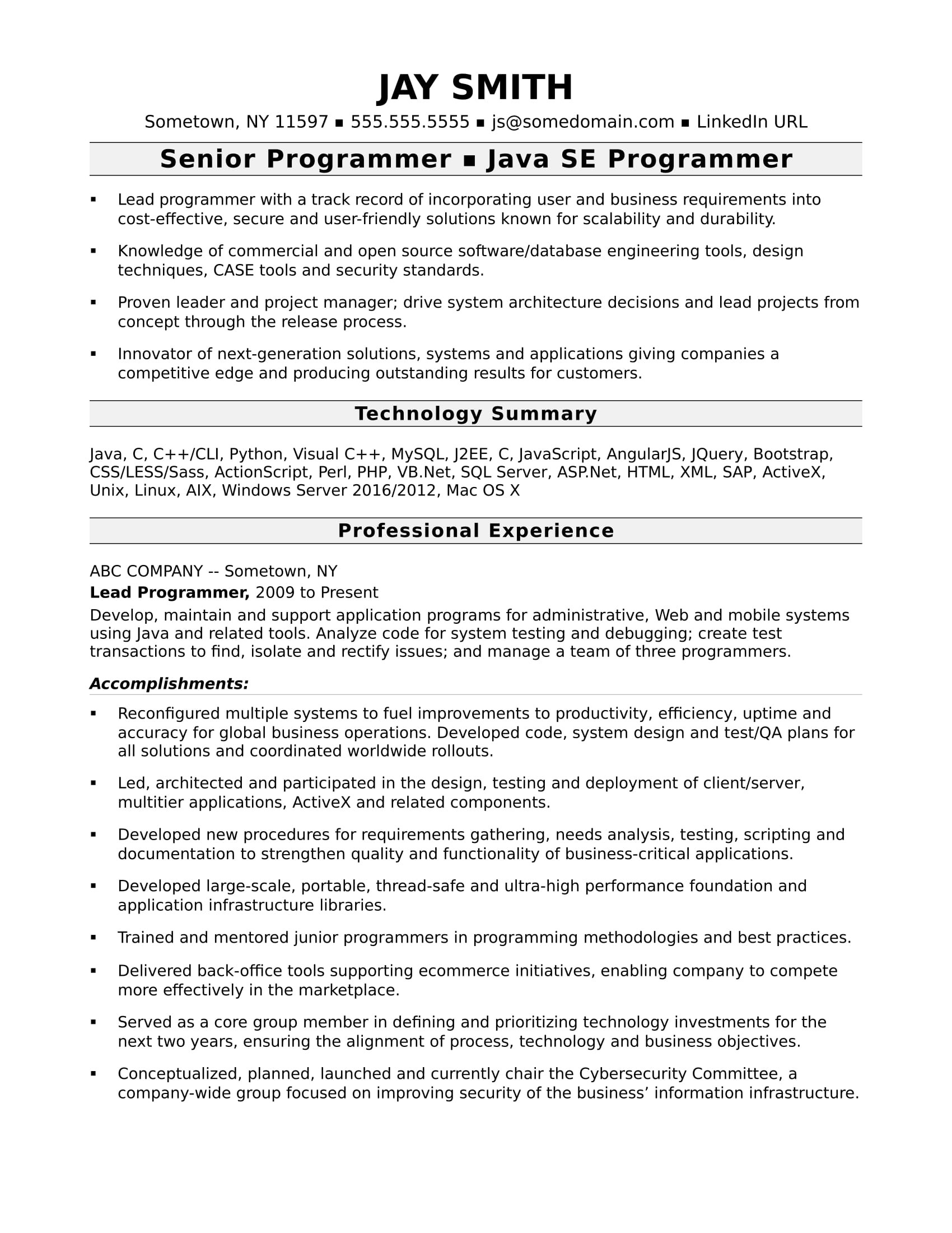 sample resume puter programmer experienced