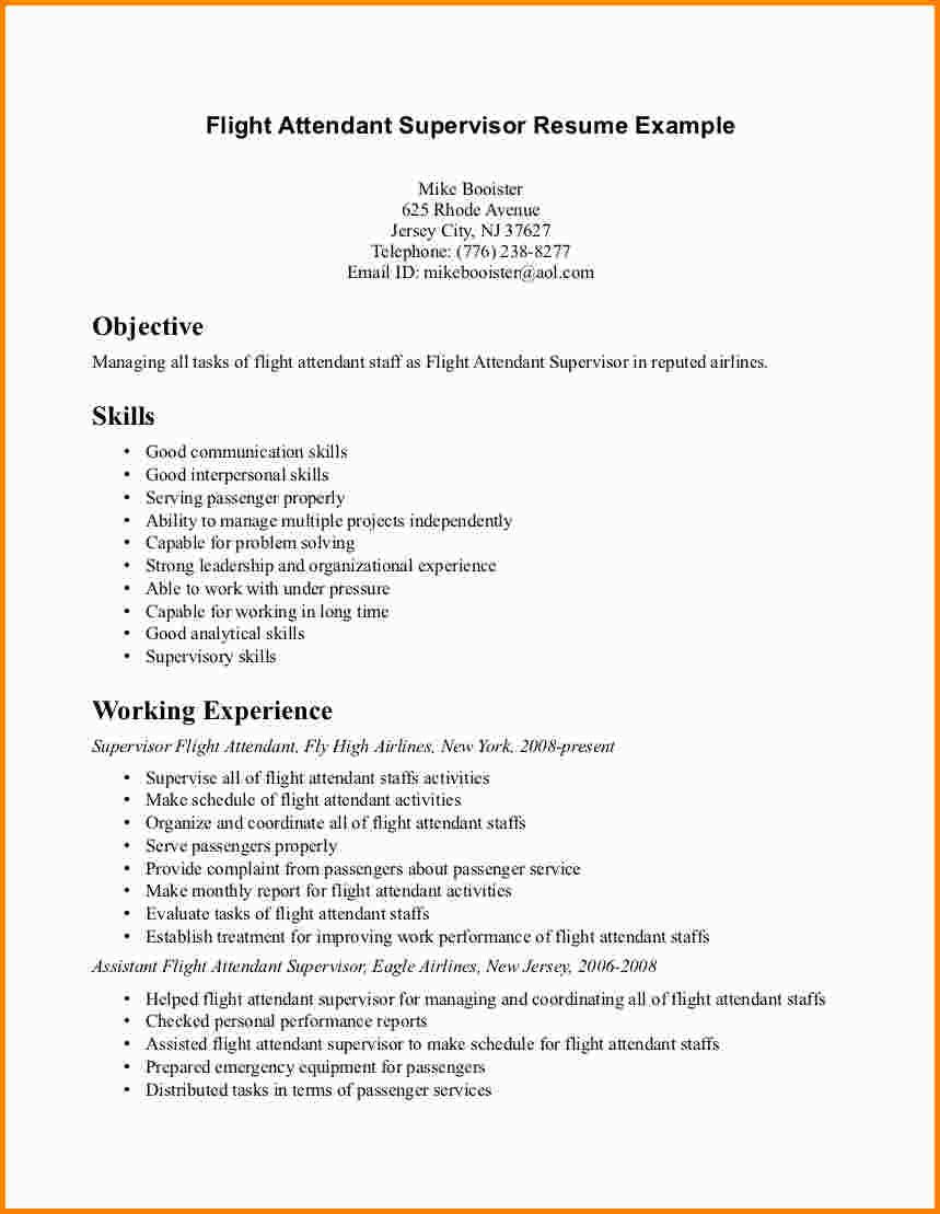 flight attendant cv objectiveml