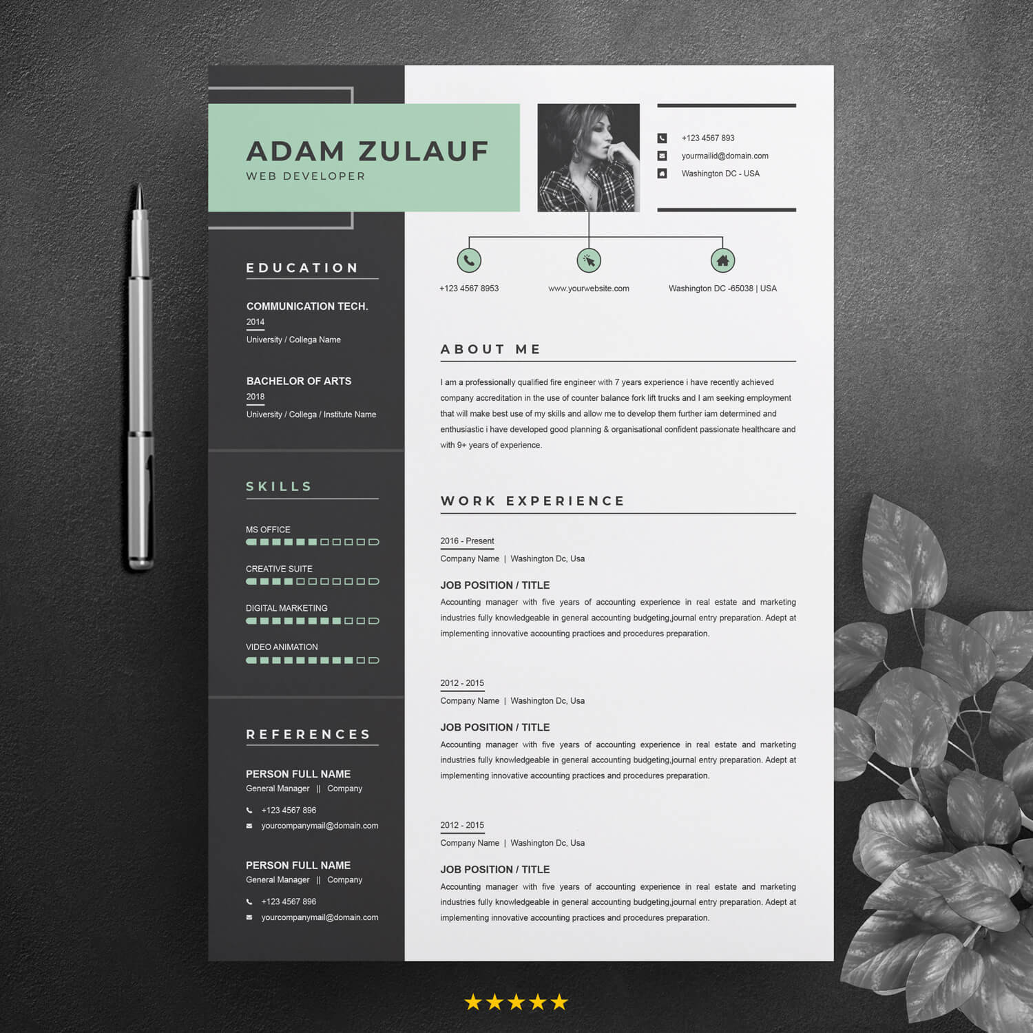 full stack web developer cv