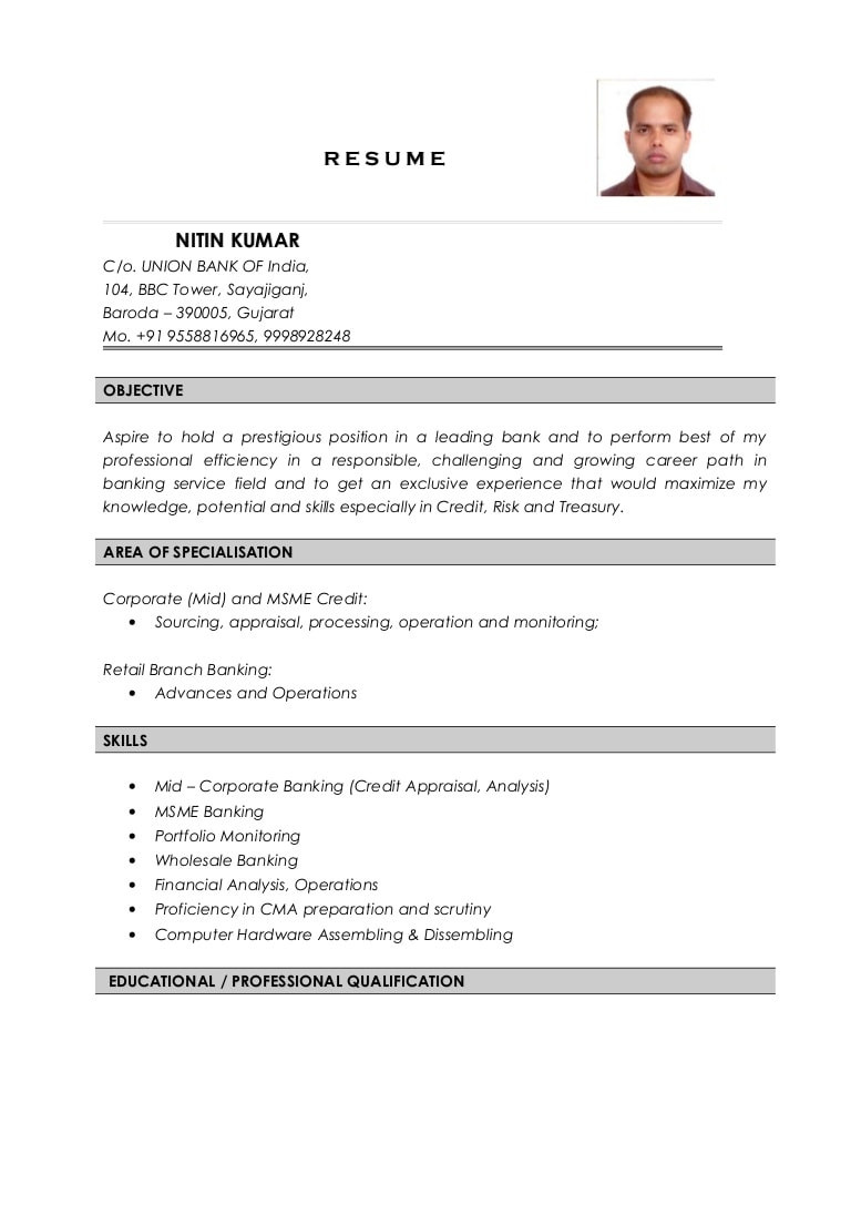 nitin kumar resume credit analyst