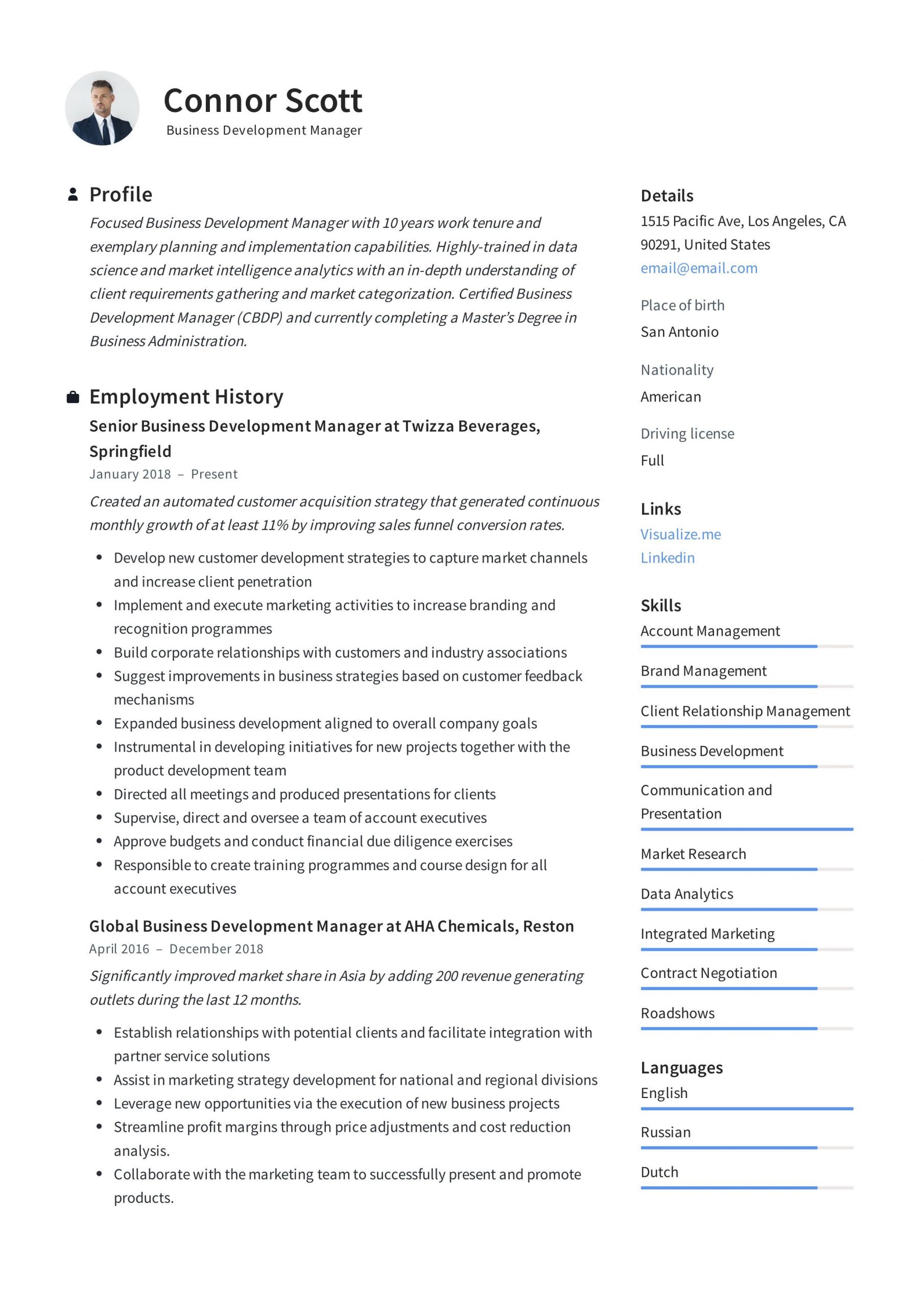 business development manager resume examples