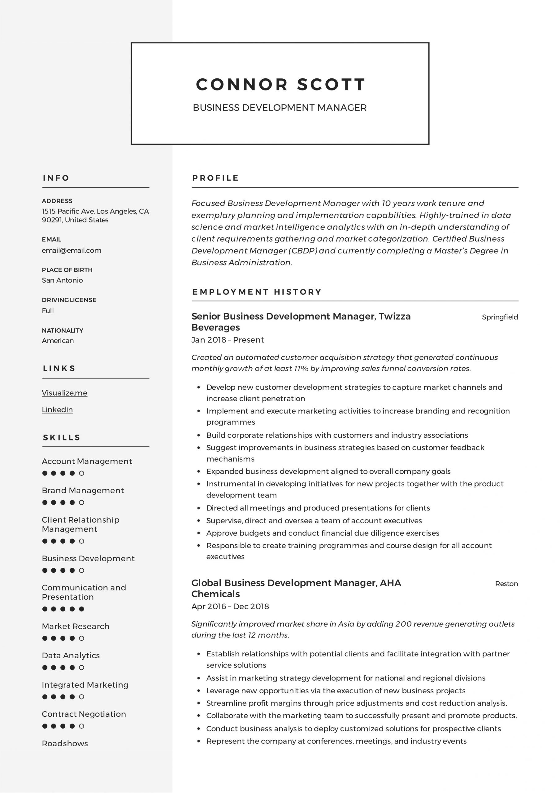 business development manager cv template freeml