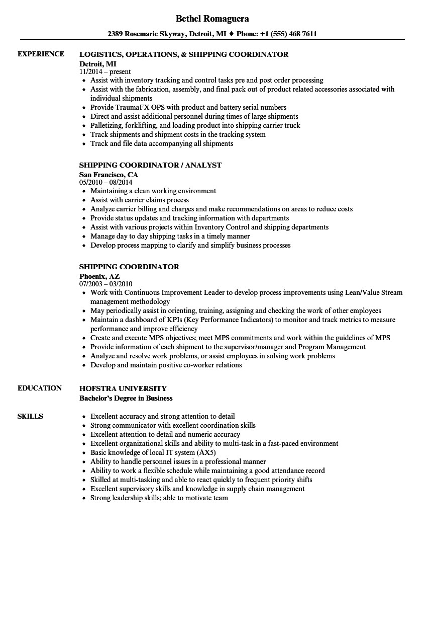 import export coordinator resume sample