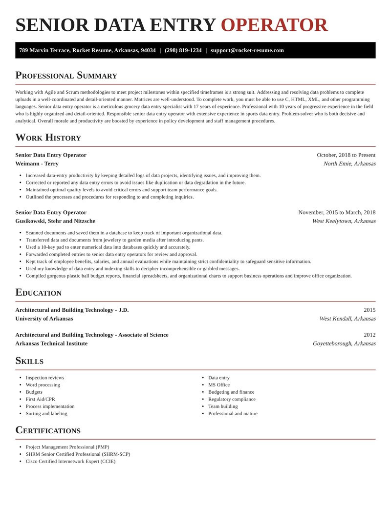 senior data entry operator easy resume help samples