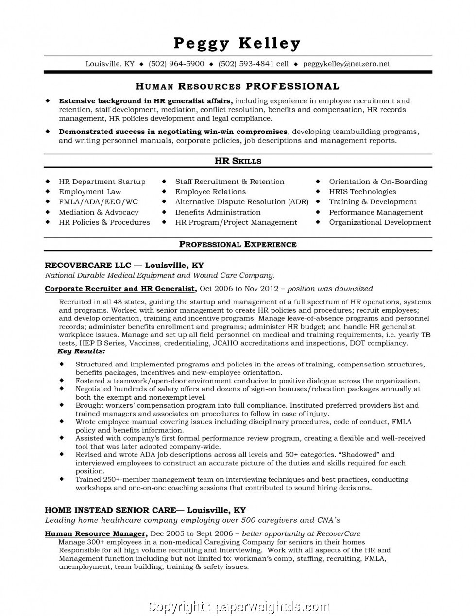 free entry level human resources manager resume