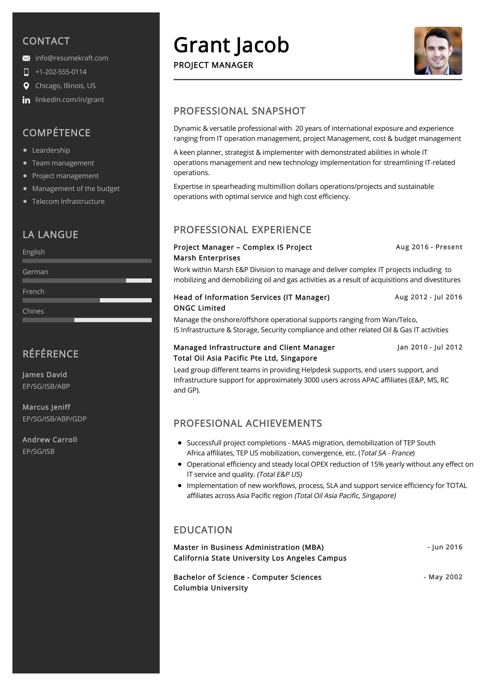 it project manager resume sample