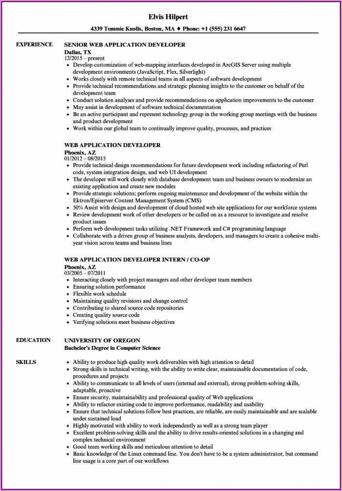 sample resume for dot net developer experience 5 years