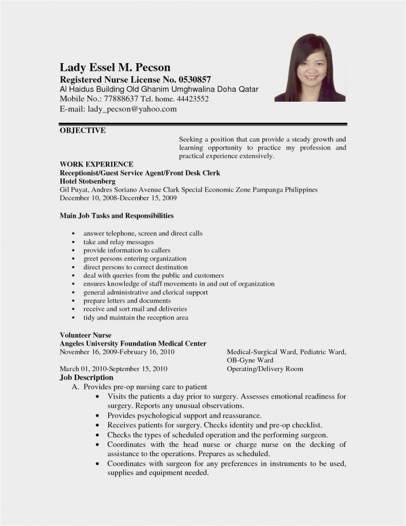 sample resume for l1 visa application