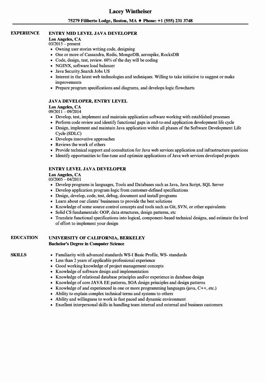 sample resume for dot net developer experience 2 years