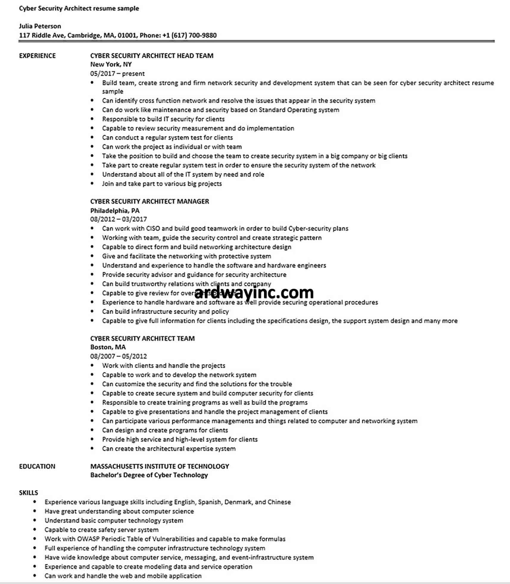 cyber security resume sample