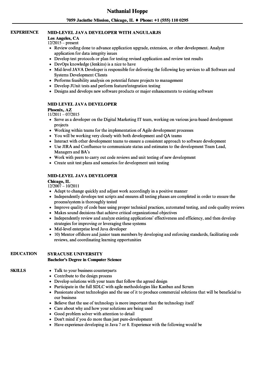 mid level java developer resume sample