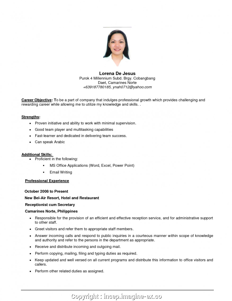 best sample objective in resume for any position