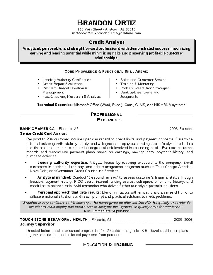 credit card sales executive resume