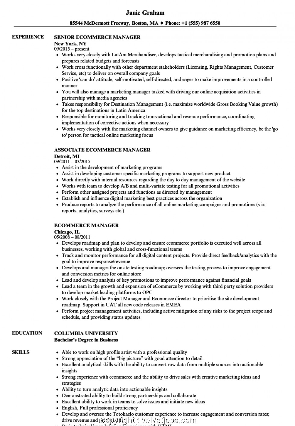 professional e merce manager resume