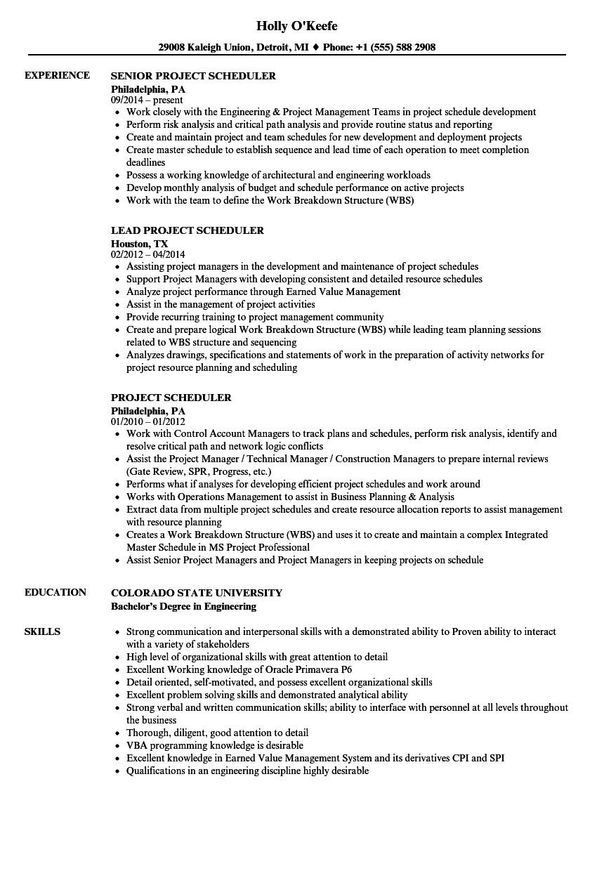 project scheduler resume sample