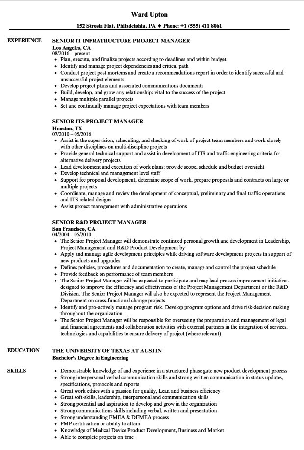 senior it project manager resume