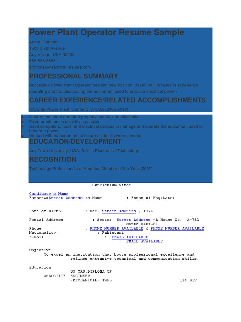 Power Plant Operator Resume Sample