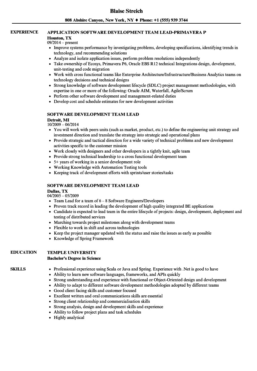 software development team lead resume sample