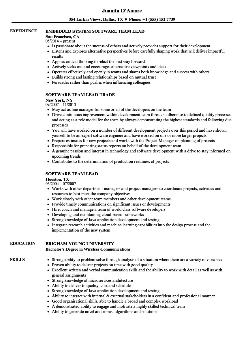 software team lead resume sample