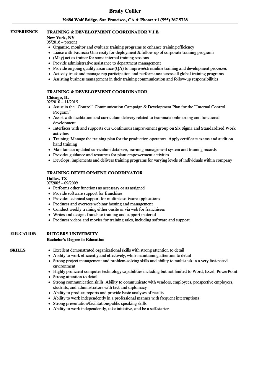 training-and-development-coordinator-resume-sample