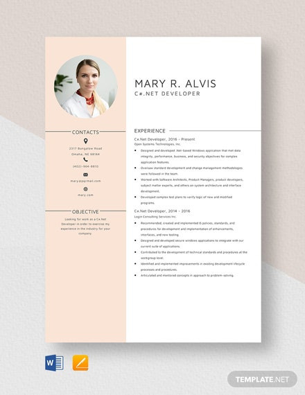 aspnet developer resume