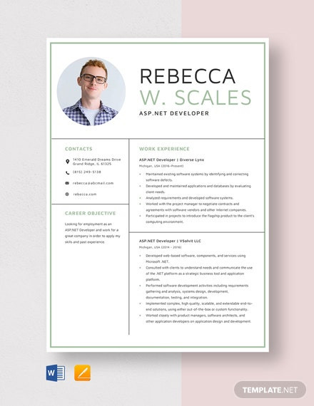 aspnet programmer resume