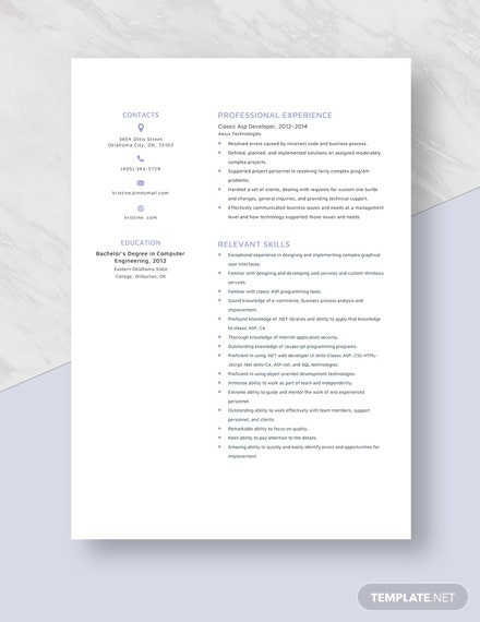 classic asp developer resume