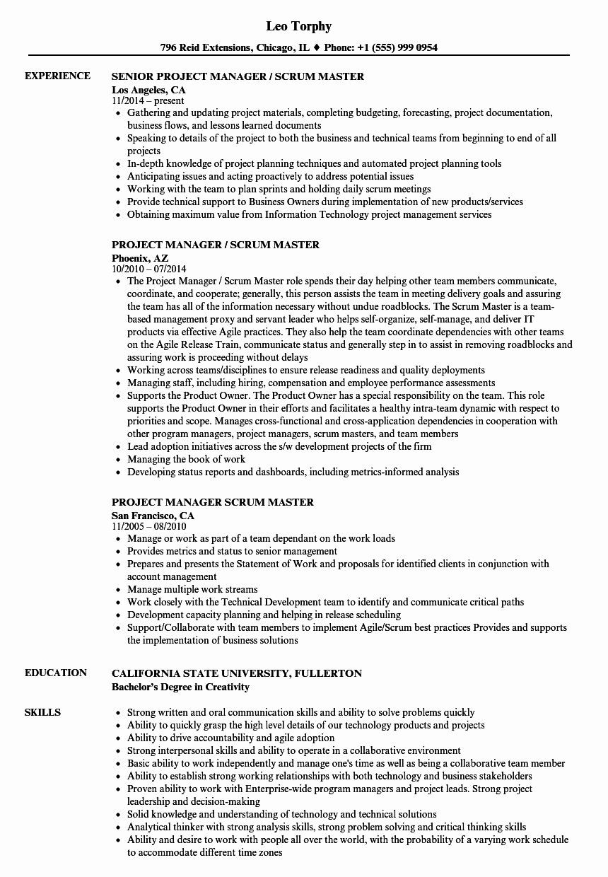 scrum master resume template