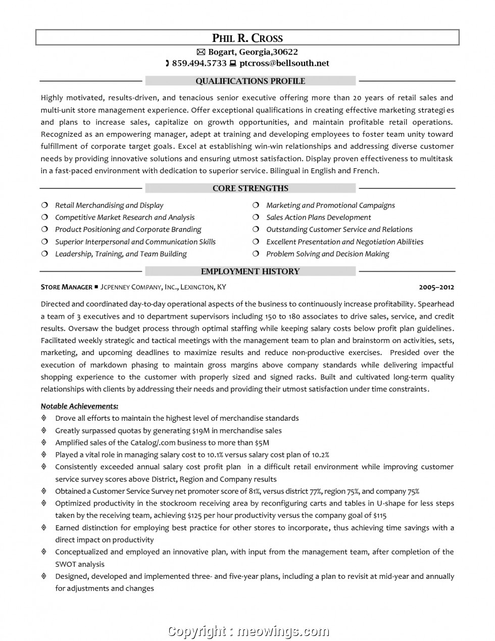 unique resume format for area sales manager in fmcg