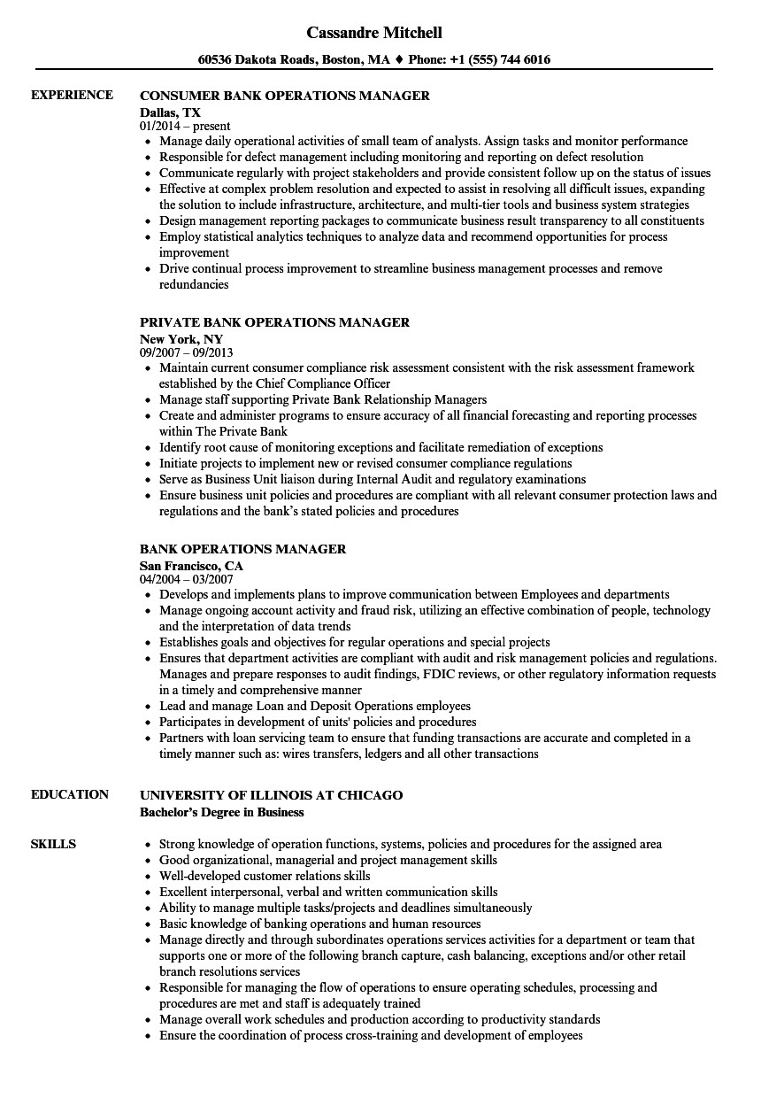 Sample Resume for Bank Branch Operations Manager It Operations Manager Job Description Free Resume Templates