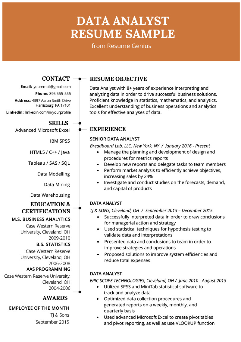 data analyst resume example