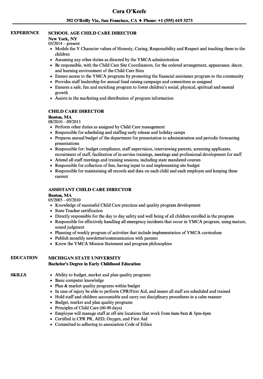 child care director resume examples