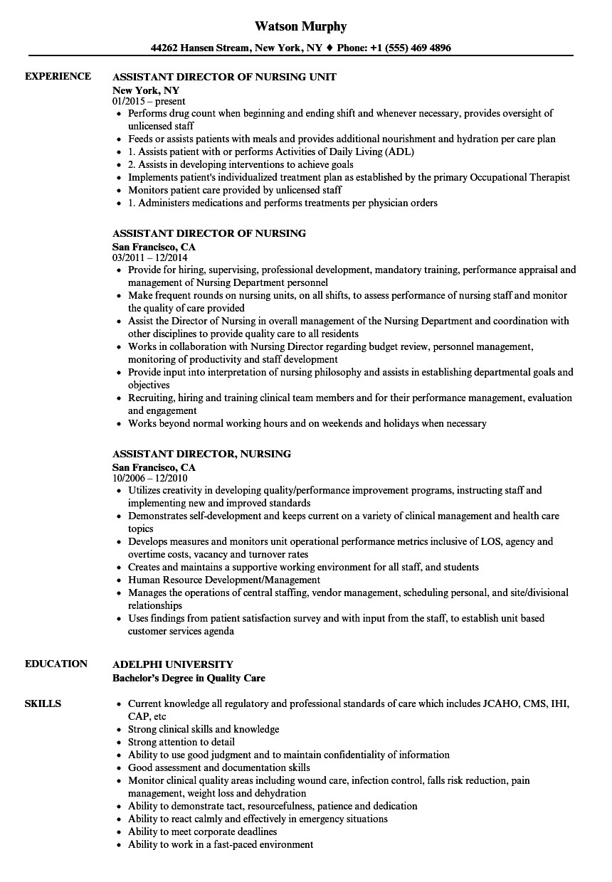 assistant director nursing resume sample