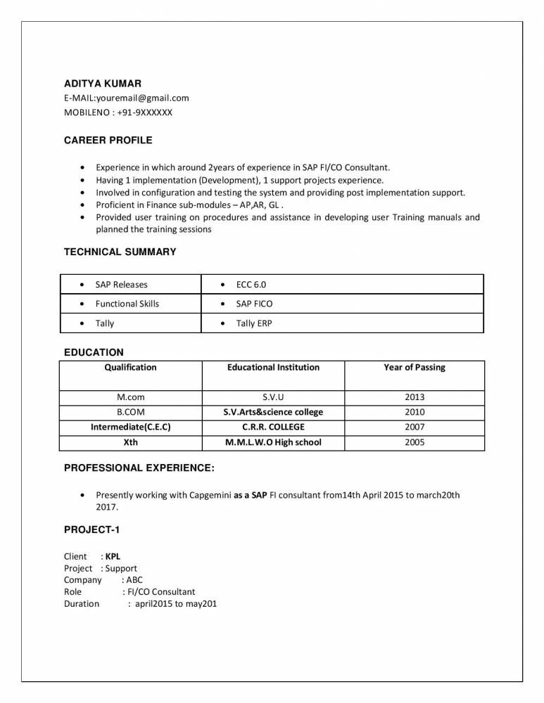 sap pp resume for 2 years experience