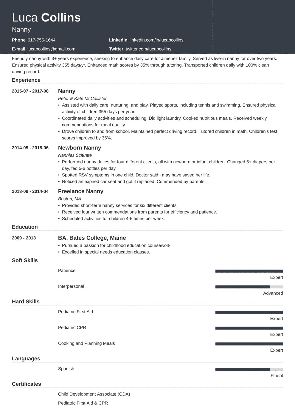 nanny resume example