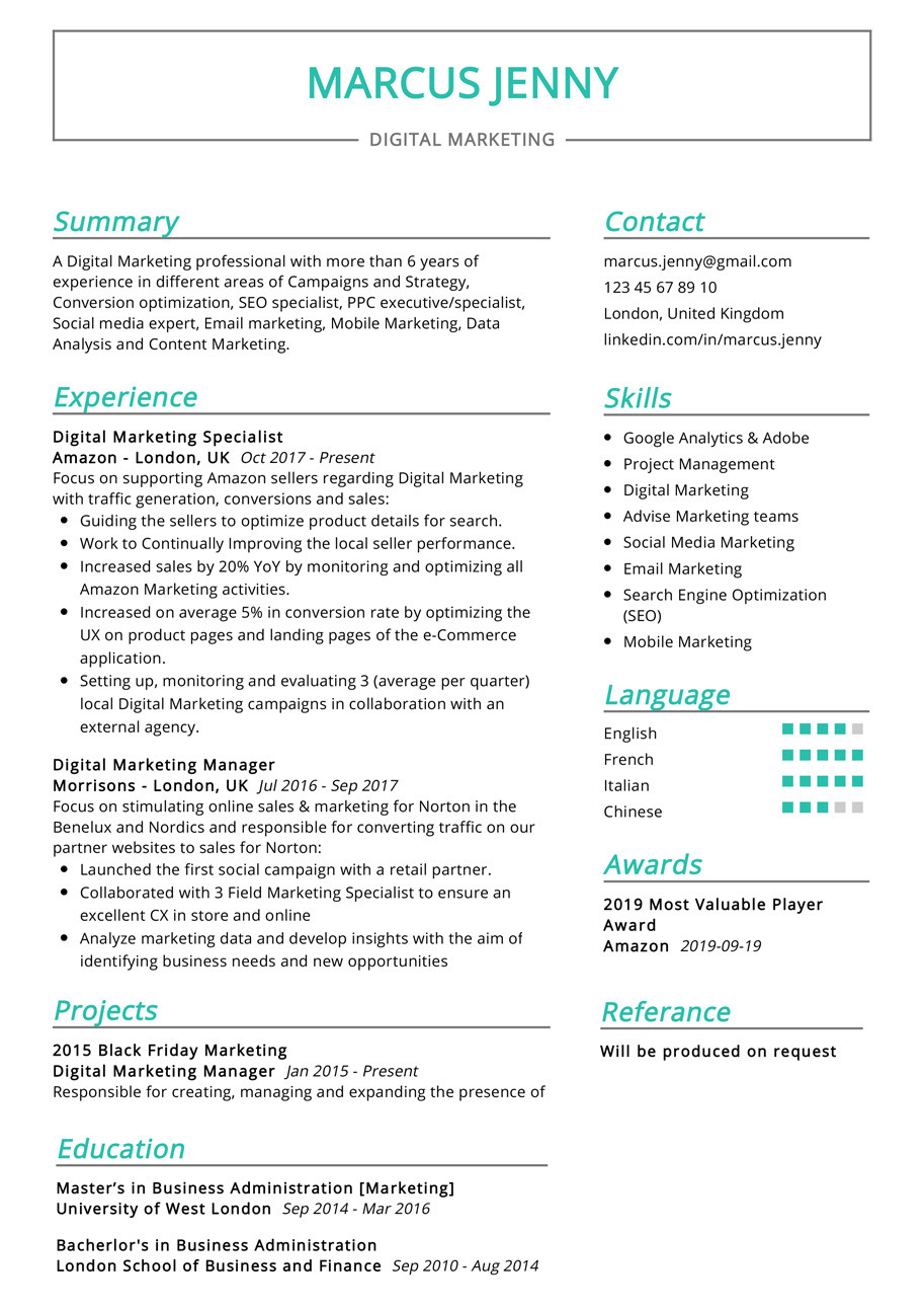 digital marketing resume example