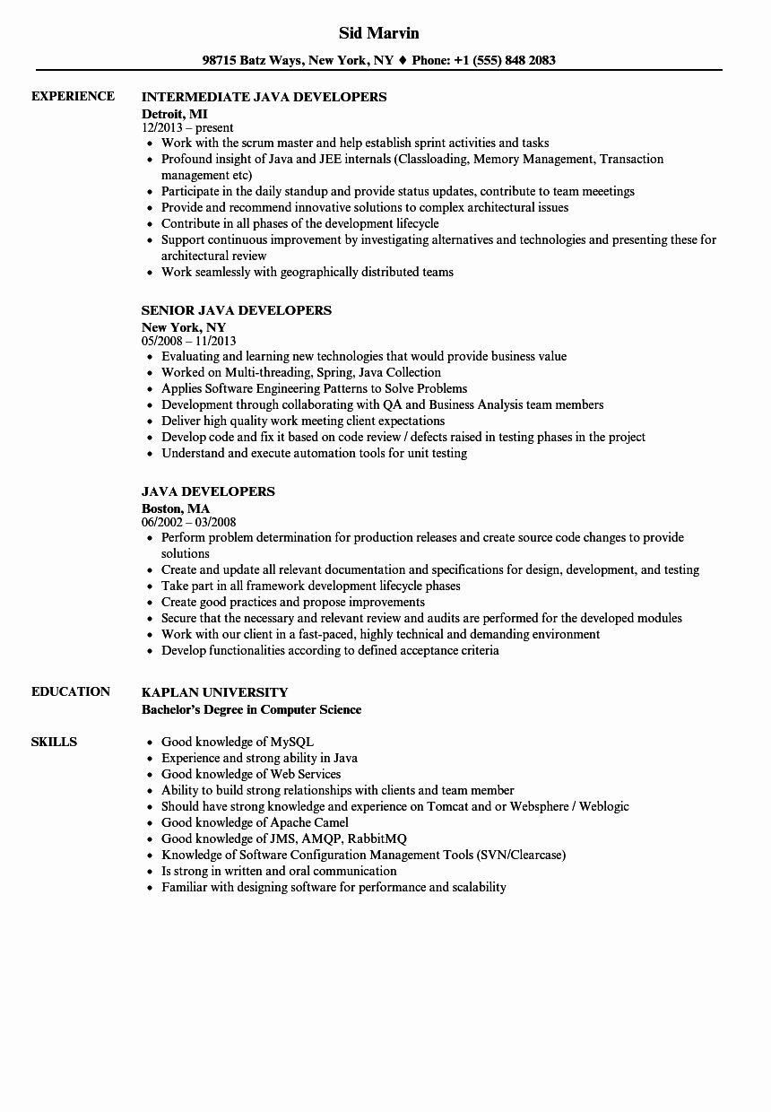 ui developer sample resume 2 years