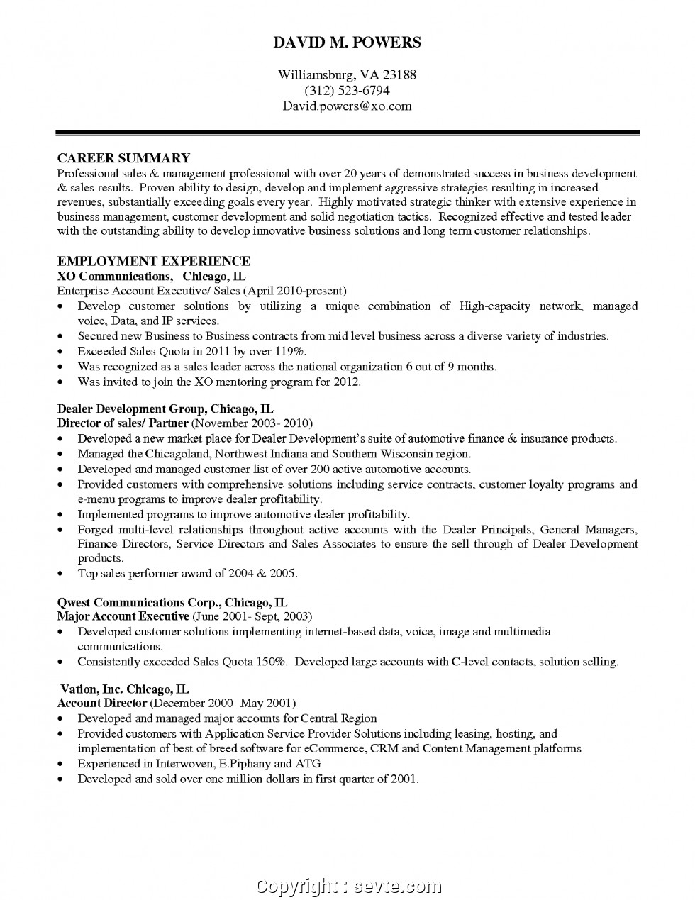 styles sales manager professional summary