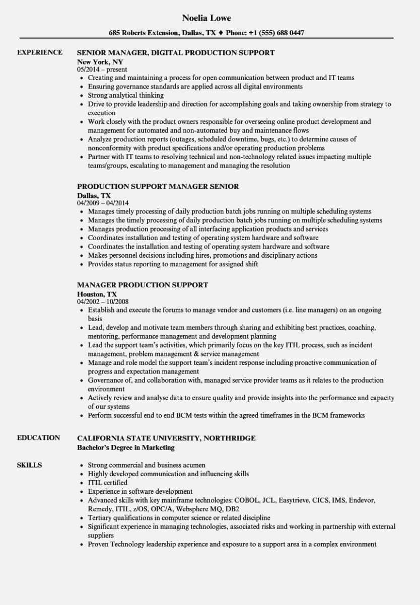 production support resume sample