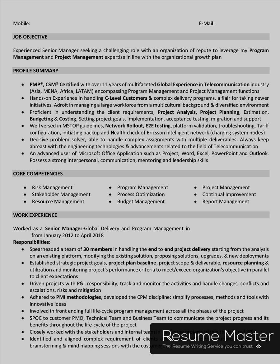 sample project manager resume indiaml