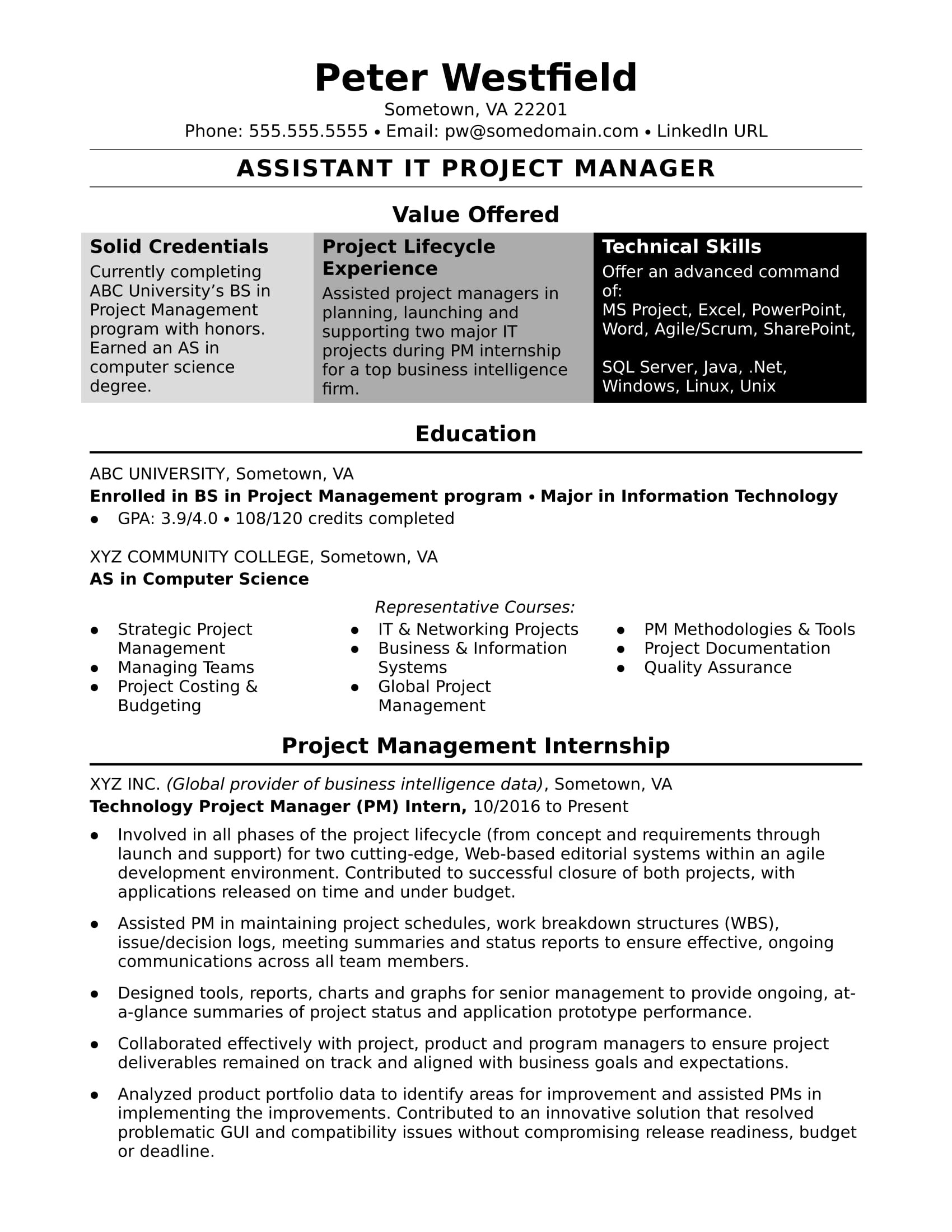 sample resume assistant it project manager