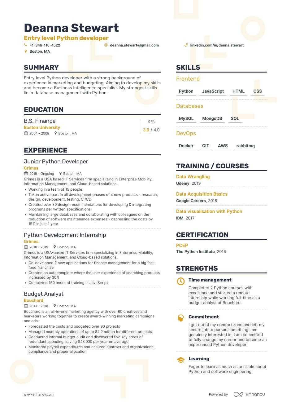 python developer