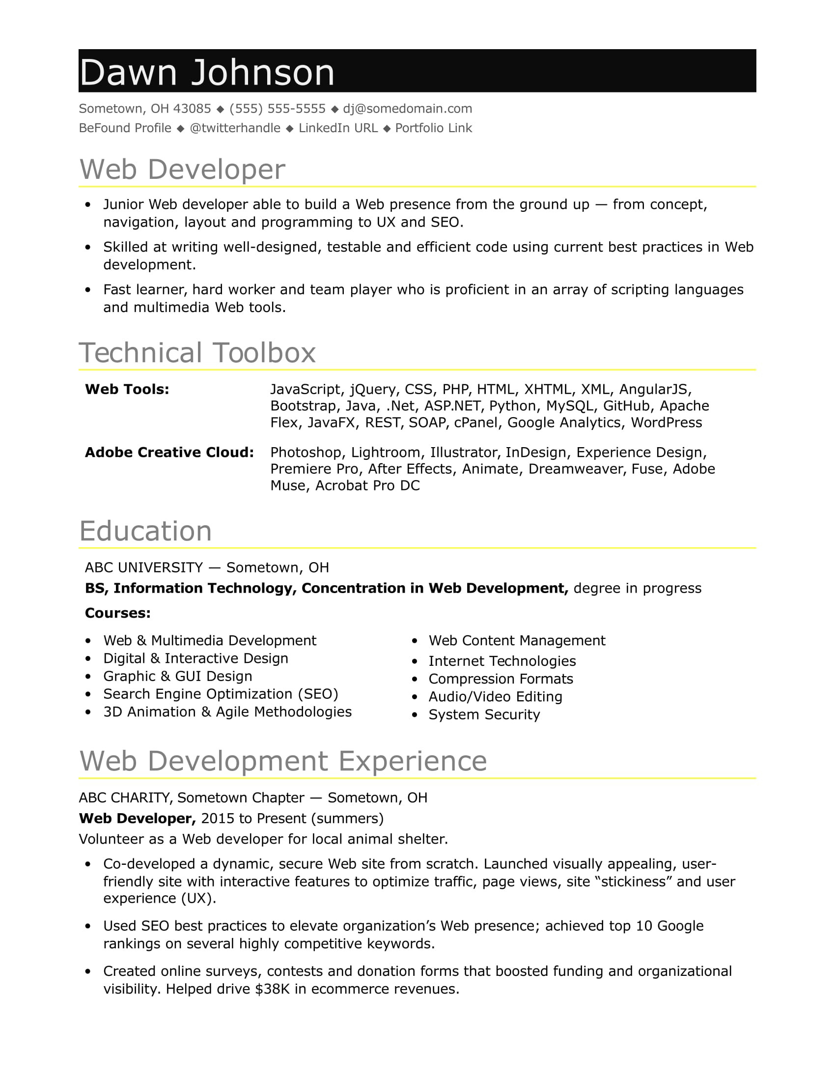 sample resume IT developer entry level