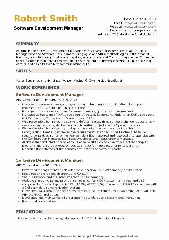 software development manager