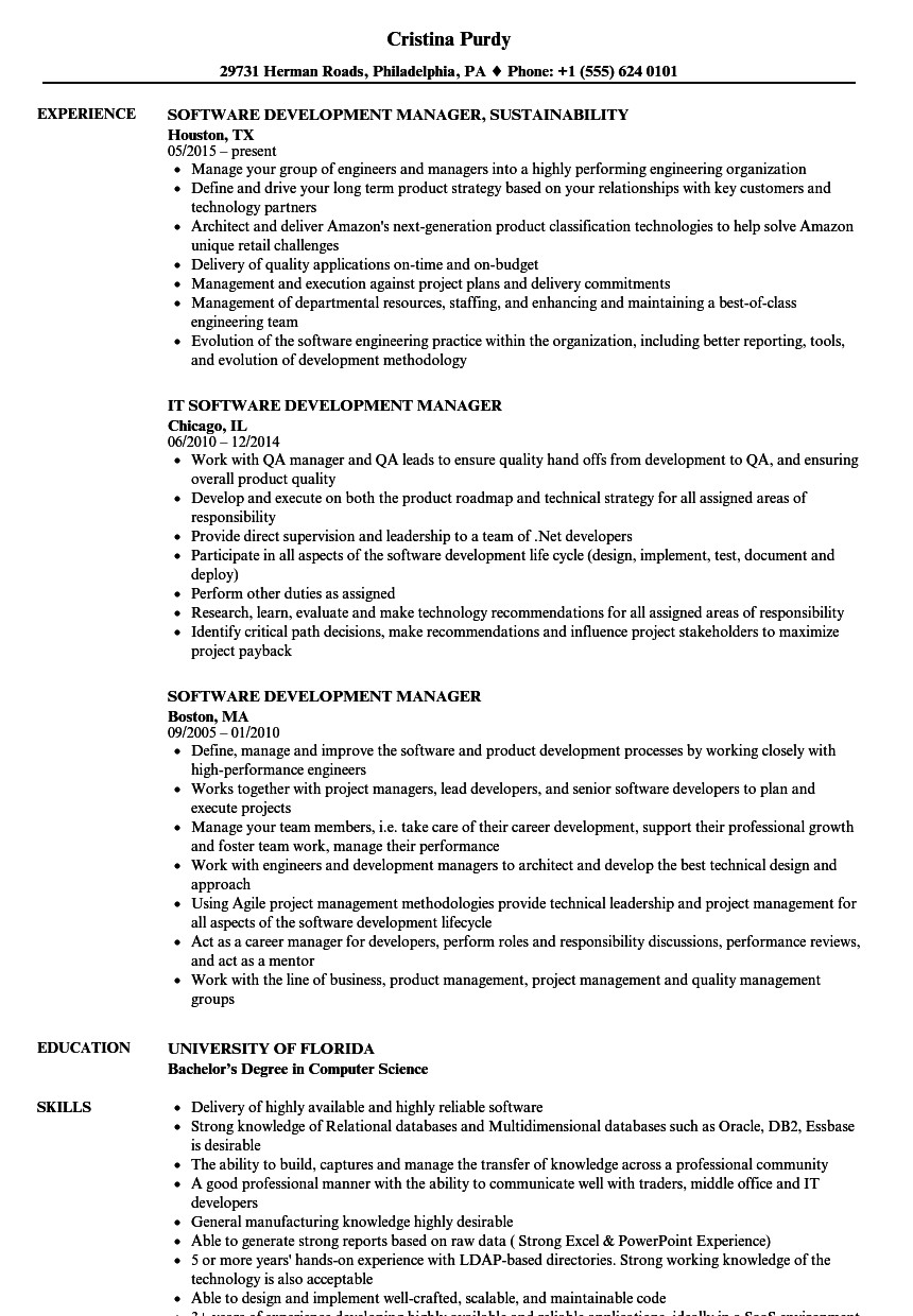 software development manager resume sample