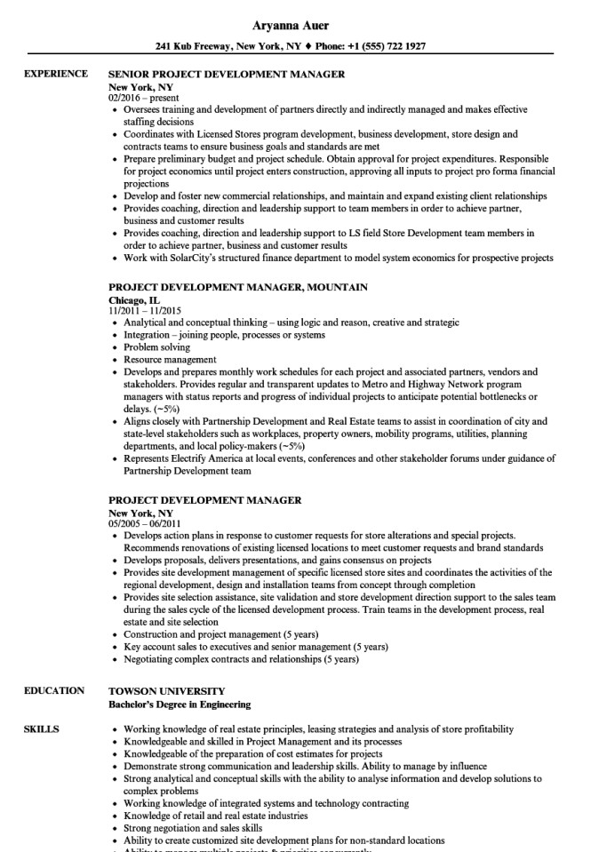 software development project manager resume